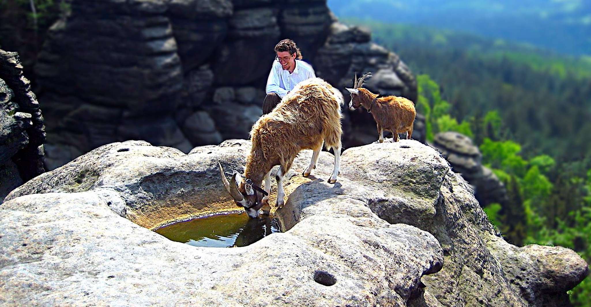Climb the mountains together with goats - Housity