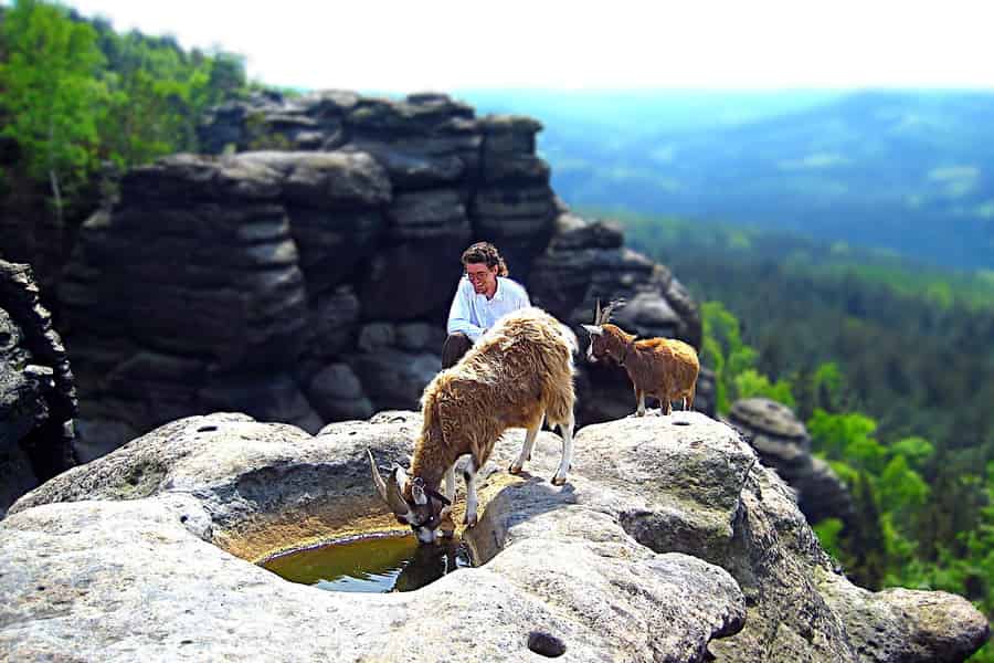 Zusammen mit Ziegen die Berge erklimmen. Foto: GetYourGuide