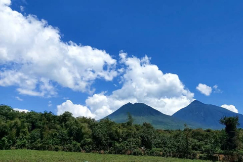 Ongelooflijke gorillatrektocht in Rwanda