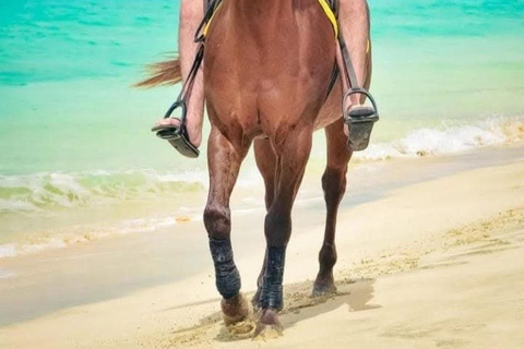 Sal Island Horse Riding – Dunes, Beaches & Villages Horse Riding 2 Hours – Beginners/Intermediate