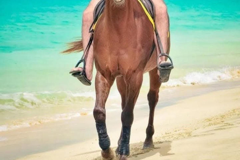 Sal Island Horse Riding – Dunes, Beaches & Villages Horse Riding 2 Hours – Beginners/Intermediate