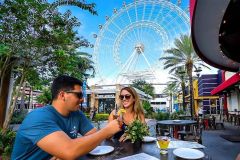 Orlando: Roda-Gigante The Wheel no ICON Park Opções