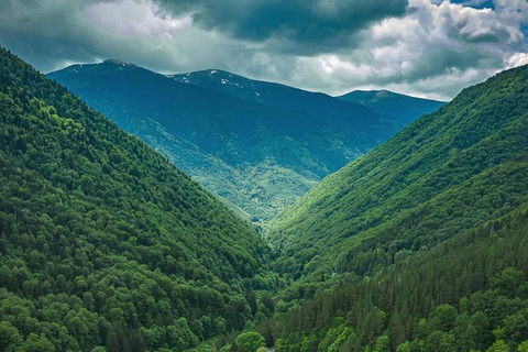Sofia: Boyana Church, Rila Monastery & Hot Springs Tour