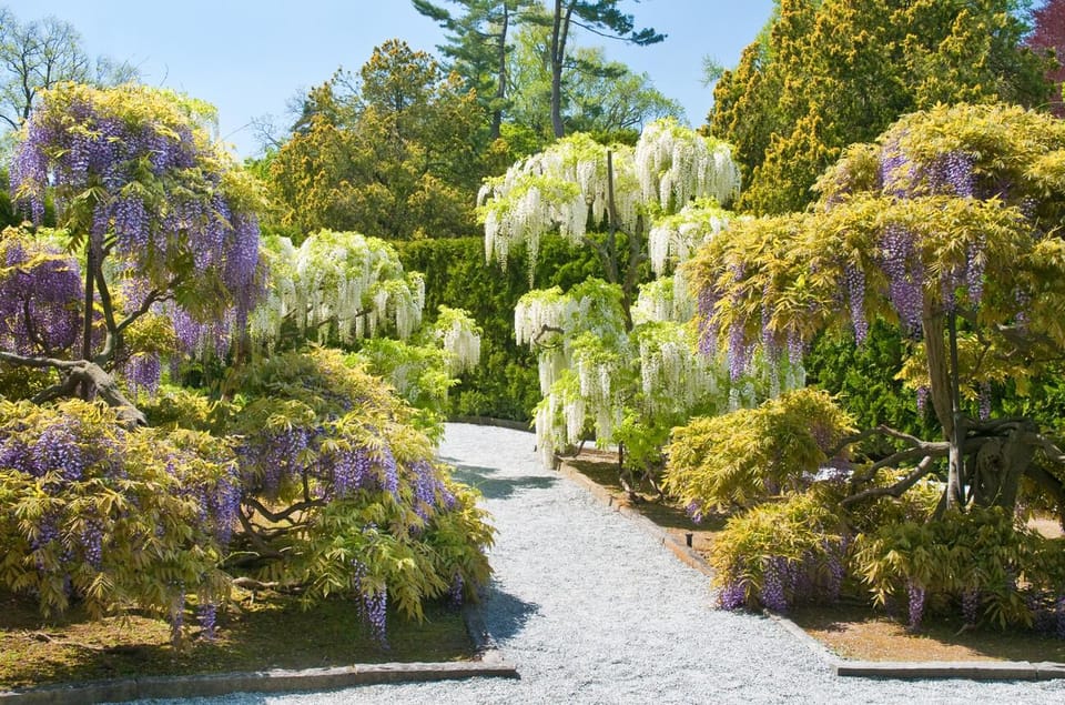 Longwood Gardens Gardens Admission Ticket GetYourGuide
