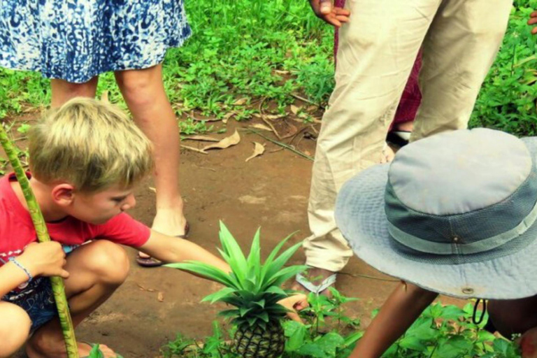 Zanzibar : visite d'une ferme d'épicesZanzibar : visite d'une plantation d'épices