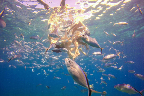 La Romana: Catalina Island Snorkeling Day Trip with Lunch