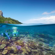 Fiji: Esperienza di conservazione marina dell'isola di Kuata, giornata intera