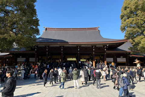 Tokio: privétour met gids langs tempels en heiligdommen per autoPremium SUV voor 3 personen