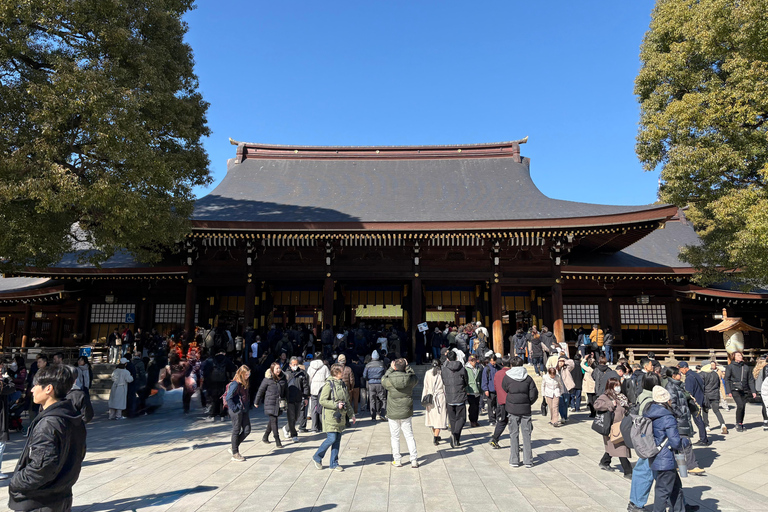 Tokio: privétour met gids langs tempels en heiligdommen per autoPremium SUV voor 3 personen