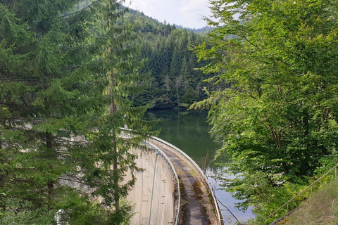 From Bucharest: Brădetu 4x4 Tour with Lunch, Hotel Pick-Up