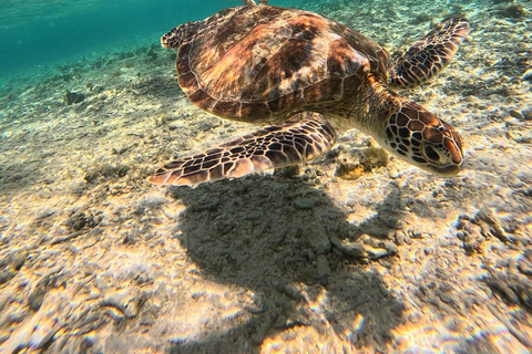 Gili Trawangan: Private 3-Island Snorkeling Tour with GoPro