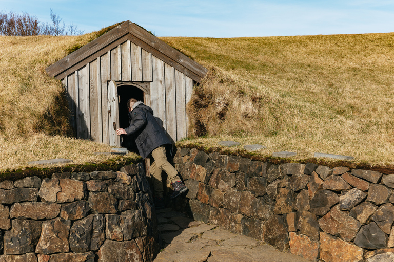 Reykjavik: tour del círculo plateado, baños del cañón y cascadas