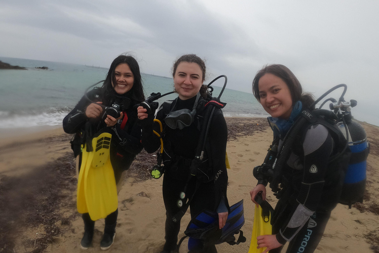 اكتشف الغوص الترفيهي.