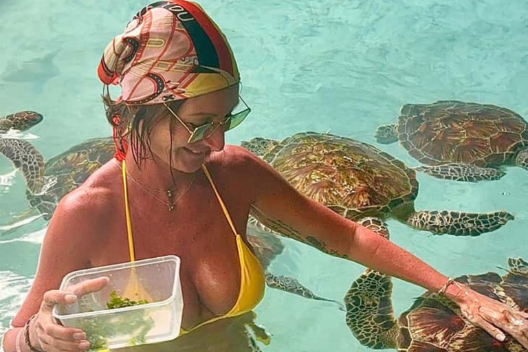 Jozani Forest & Turquoise Waters Turtle Swim at Salaam Cave TOUR WITHOUT HOTEL PICKUP AND DROP OFF