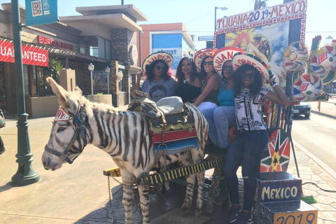 From San Diego: Tijuana City Guided Tour and Food Tasting