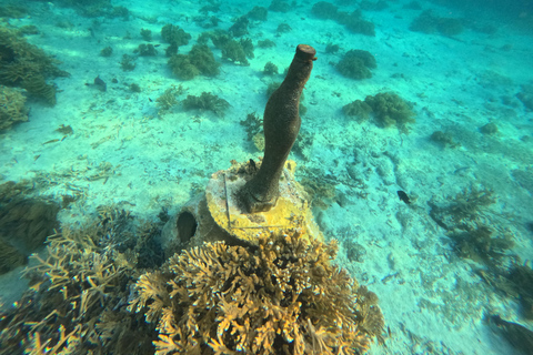 Isla Mujeres: Snorkel tour in 3 spots, Underwater Museum, and reefs! Isla Mujeres: Snorkeling tour in 3 spots, Underwater Museum and reefs!