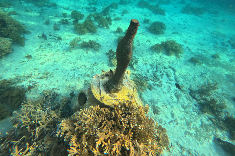 Isla Mujeres: Snorkel tour in 3 spots, Underwater Museum, and reefs! Isla Mujeres: Snorkeling tour in 3 spots, Underwater Museum and reefs!