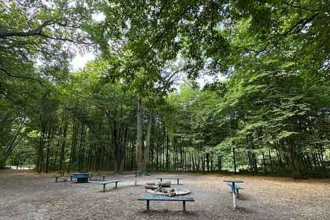 Leipzig: Rosental Park Forest Bathing and Qigong Session