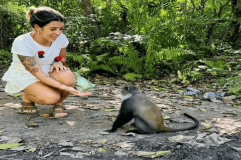 Zanzibar: Blue Lagoon with Snorkeling and Jozani Forest Tour