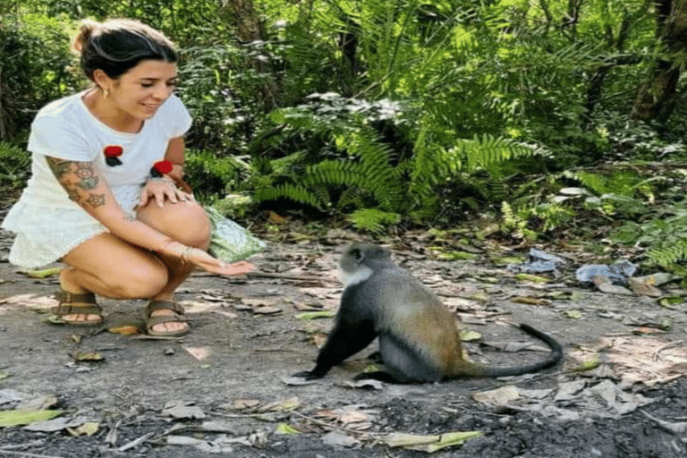 Zanzibar: Blue Lagoon with Snorkeling and Jozani Forest Tour