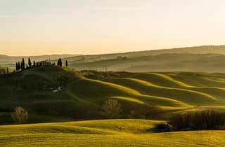 Von Florenz aus: Pisa, San Gimignano und Siena Private Tour