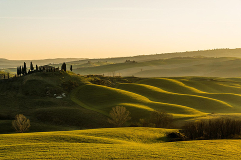 De Florença: Tour particular de Pisa, San Gimignano e Siena