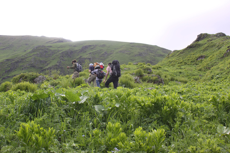 Black Rock Lakes - 3 Day Trekking Tour