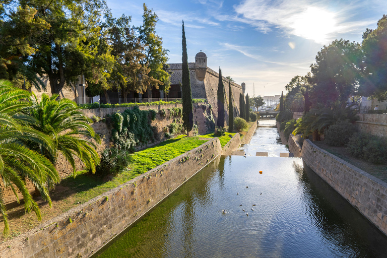 Palma: Old Town Guided Tour with Cathedral Skip-the-Line