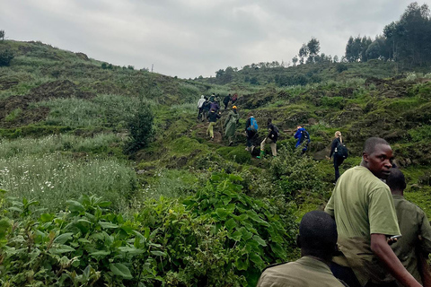 From Kigali: Bisoke Summit Trek, Crater Lake 1 Day Safari
