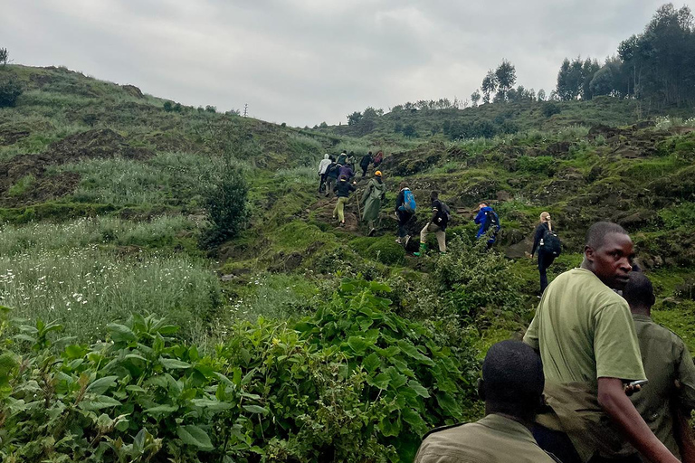 From Kigali: Bisoke Summit Trek, Crater Lake 1 Day Safari