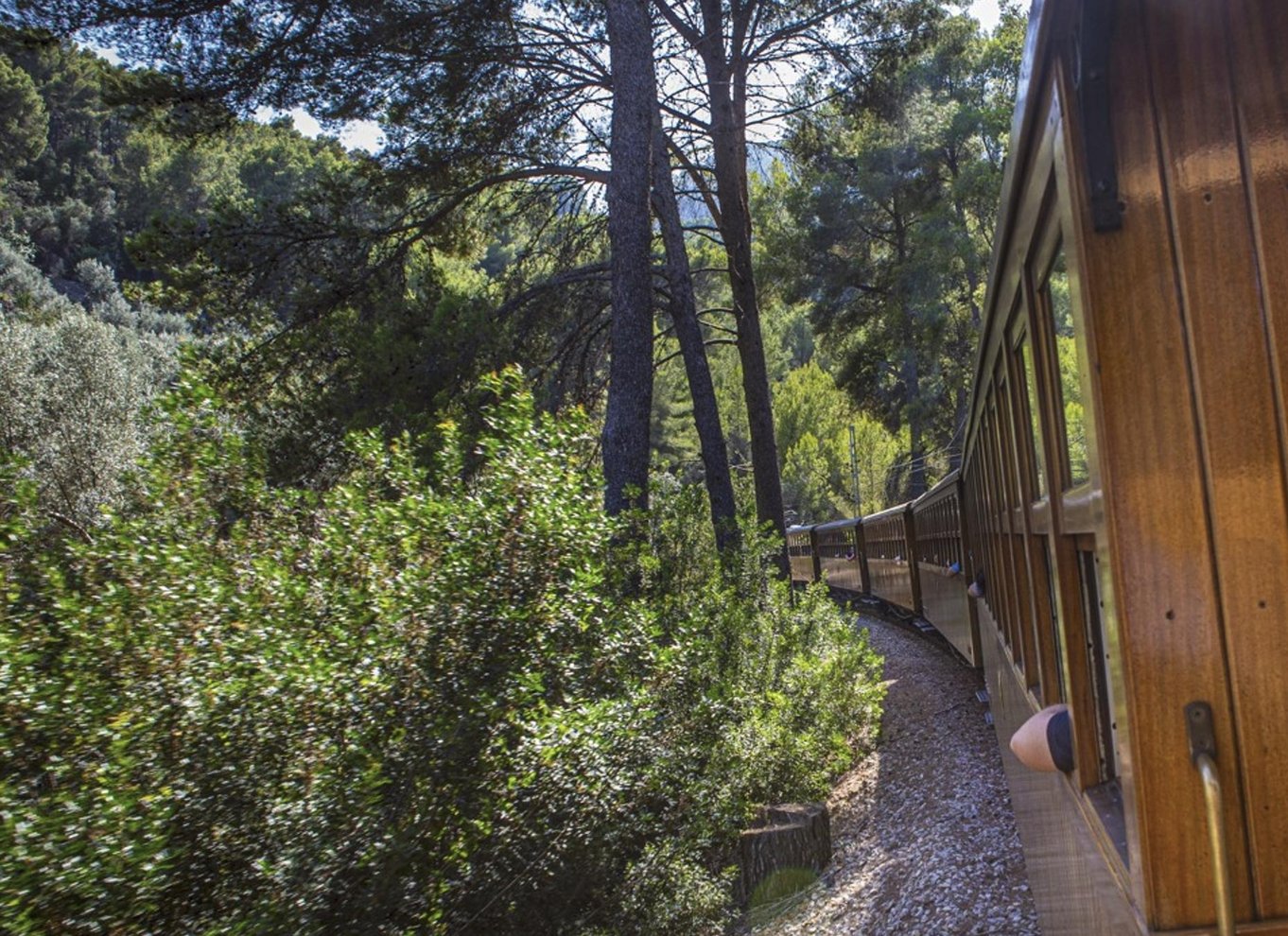 Fra Palma: Guidet tur til Serra Tramuntana og Lluc-klosteret