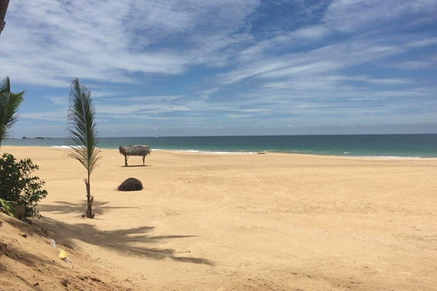 Sri Lanka : Día en Galle, río Madu y criadero de tortugas