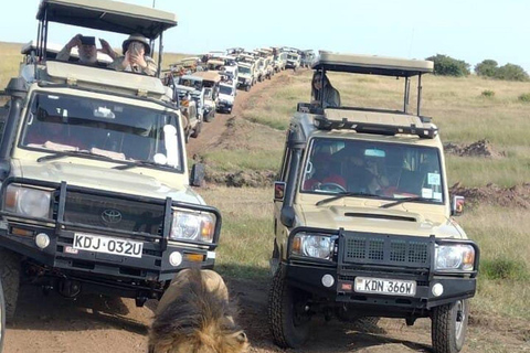 Nairobi: tour privato di 2 giorni del Parco Nazionale Amboseli