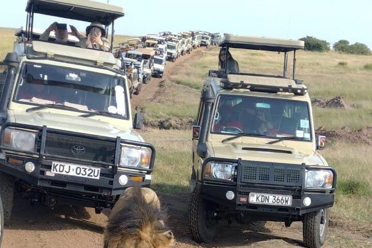 Nairobi: tour privato di 2 giorni del Parco Nazionale Amboseli