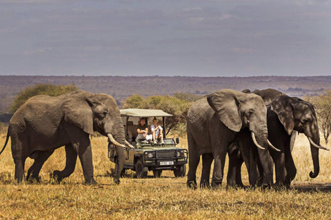 Zanzibar: Fly to Mikumi National Park for a Day Safari