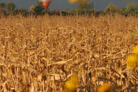 Moldova: Private Hot Air Balloon Experience
