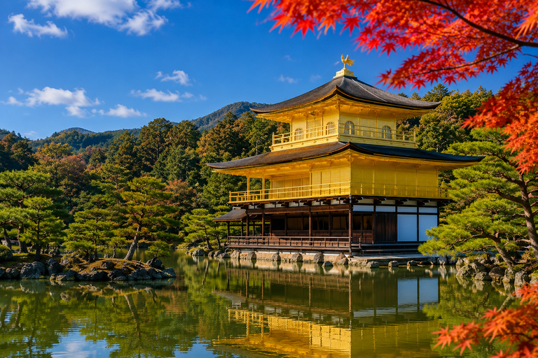 Kyoto/Osaka: Kyoto and Nara Private & Customizable Day Tour
