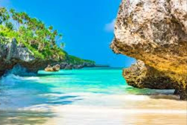 Zanzibar: Swim with Turtles, The Rock & Mtende Beach Private Tour with No Hotel transfer