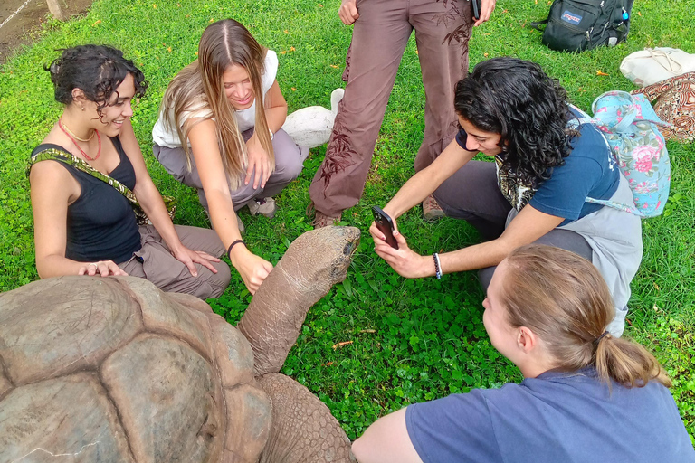 Arusha: City Sightseeing Walking Tour. (with local guides)