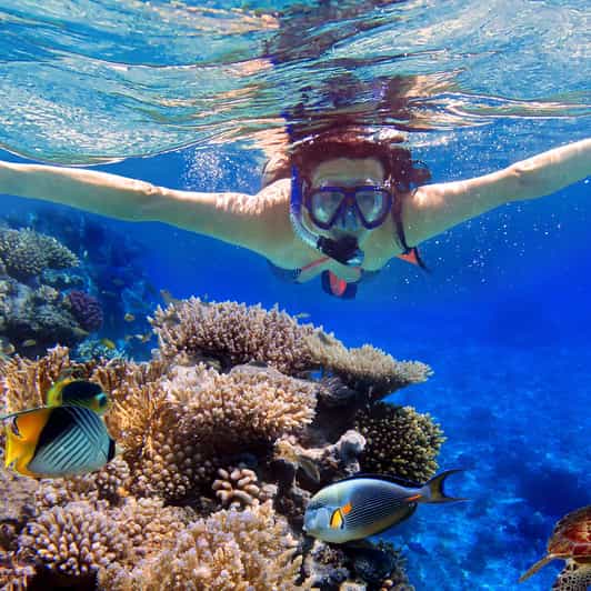 Van Nusa Penida snorkeltocht met mantaroggen GetYourGuide
