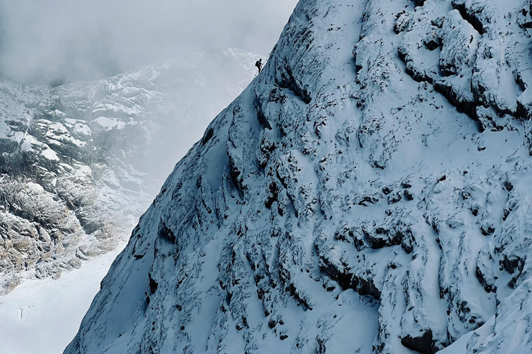 Vienna to Salzburg & Hallstatt: Scenic Alpine Day Tour Vienna to Salzburg & Hallstatt Without Hotel Pick-Up