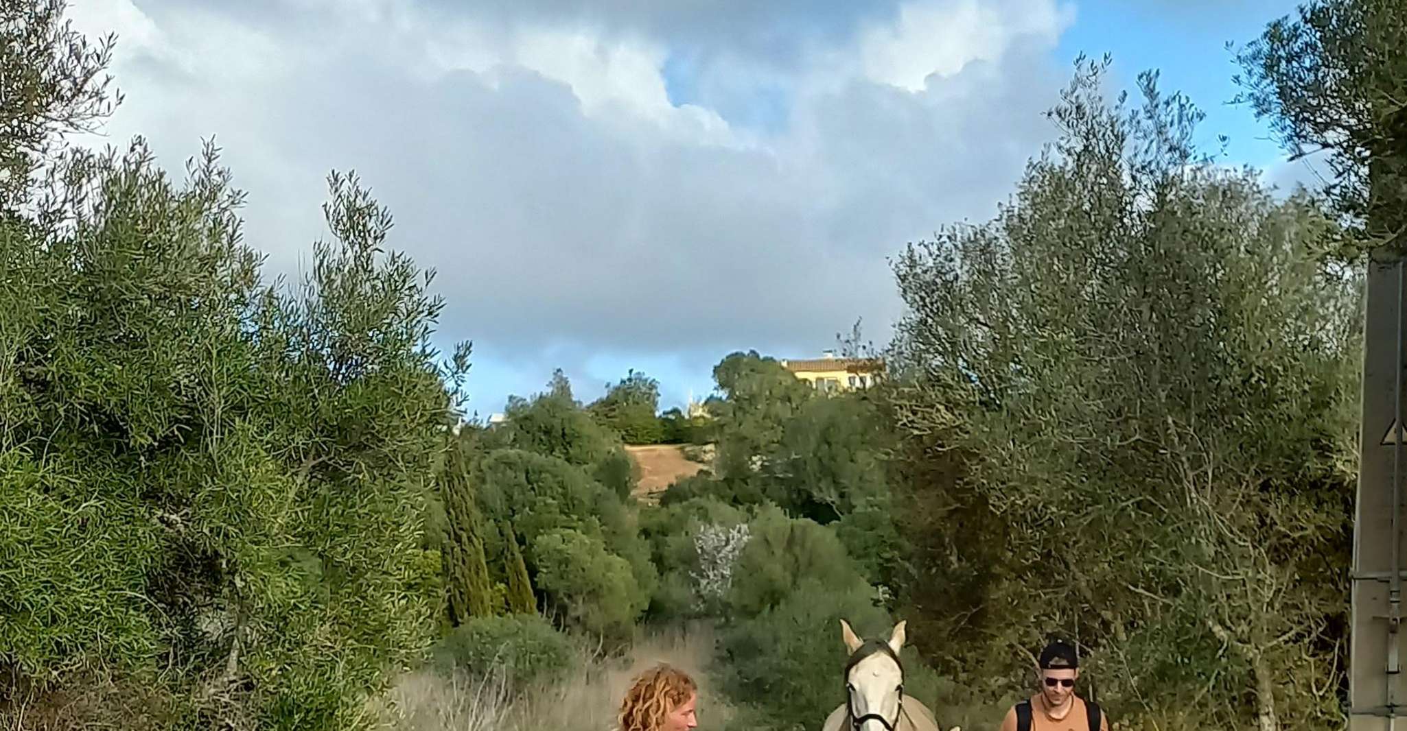 Lagos, una passeggiata con un cavallo salvato al santuario - Housity