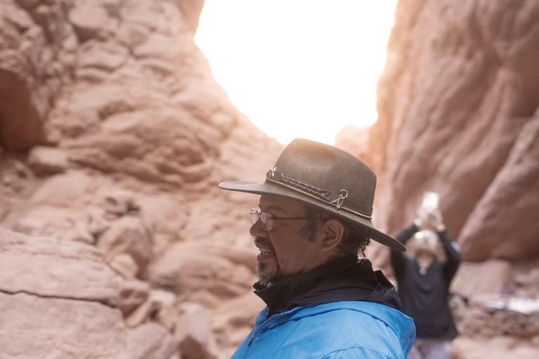 Cafayate: Tour de dia completo por bodegas y degustacion de vinos