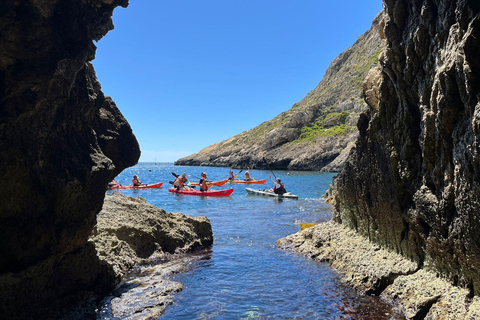 Gozo Kayak Tours