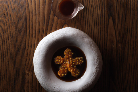 Ljubljana: Michelin Star Experience, dinner and tour