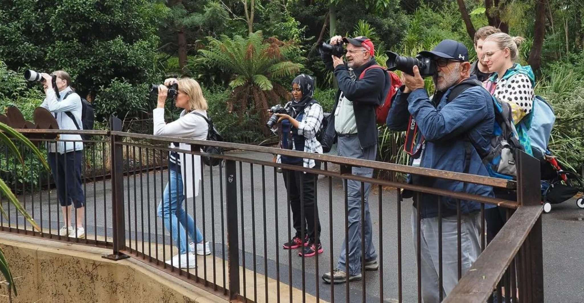 Melbourne City Surrounding Sightseeing Tour photo 6