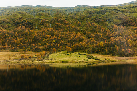 Bergen: Self-Guided Round-Trip Full-Day Excursion