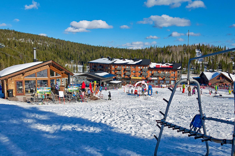 Rovaniemi: Ruka Coaster & Winter Adventure Day Trip ⭐ Ruka Premium | 10h | Full Winter Adventure
