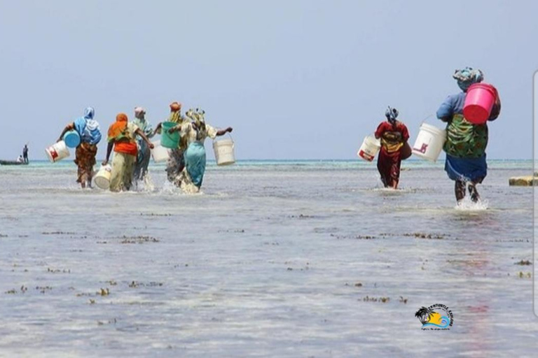 Nungwi: Passeio pela vila com visita ao mercado de peixes e ao estaleiro de barcos