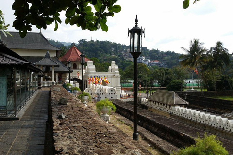 Kandy and Nuwara Eliya 1-Day Tour